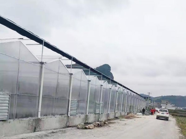 溫室大棚為什么要選用PC陽光板做覆蓋材料？